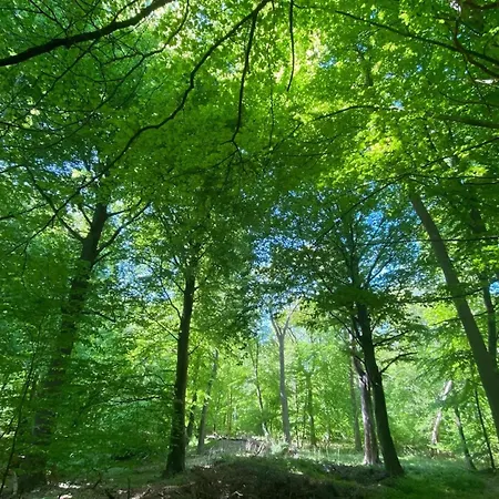 House, Casa vacanze Fuhlendorf (Mecklenburg-Vorpommern)